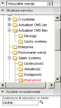 Struktura serwisu w CMS Actualizer